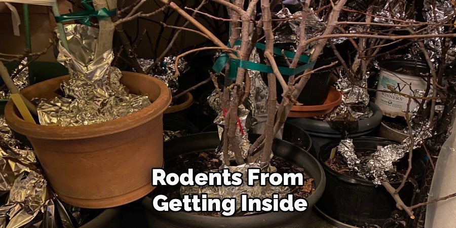 Rodents From 
Getting Inside