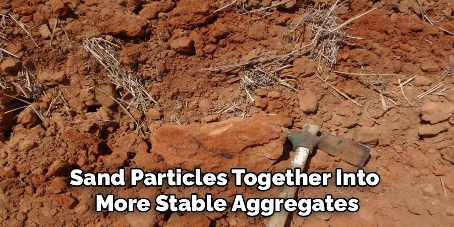 Sand Particles Together Into 
More Stable Aggregates
