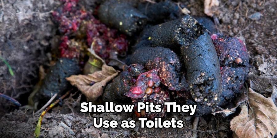 Shallow Pits They
Use as Toilets
