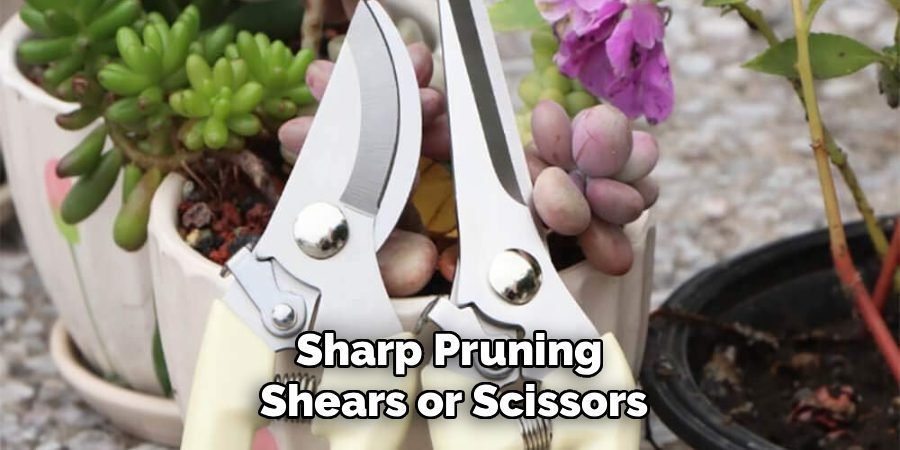 Sharp Pruning 
Shears or Scissors