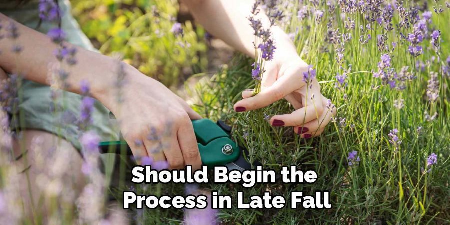 Should Begin the 
Process in Late Fall