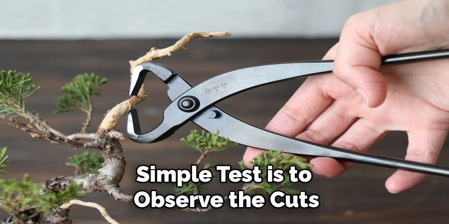 Simple Test is to 
Observe the Cuts