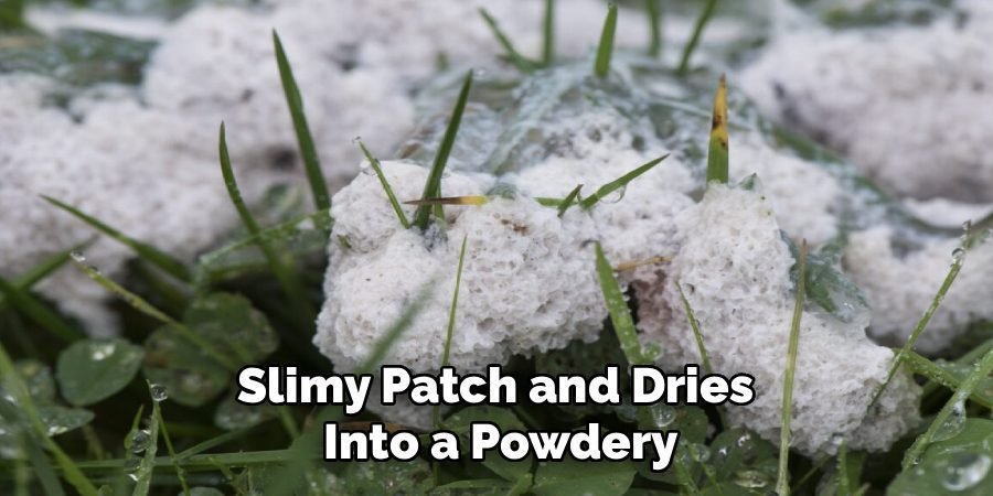 Slimy Patch and Dries Into a Powdery