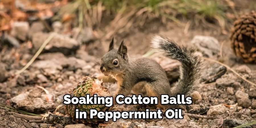 Soaking Cotton Balls
in Peppermint Oil