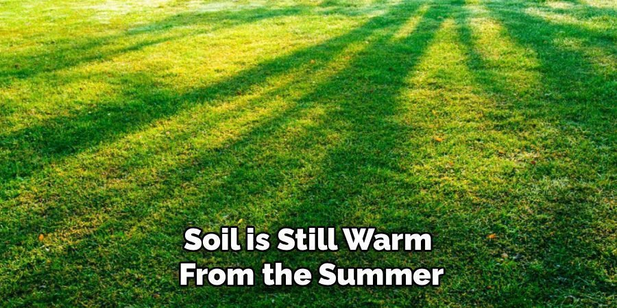 Soil is Still Warm
From the Summer