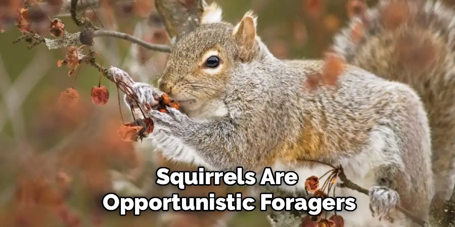 Squirrels Are
Opportunistic Foragers