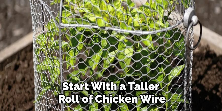 Start With a Taller
Roll of Chicken Wire
