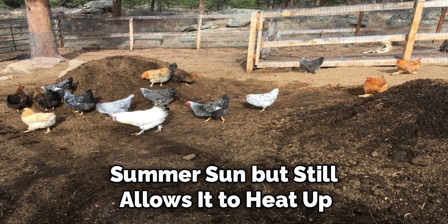 Summer Sun but Still 
Allows It to Heat Up