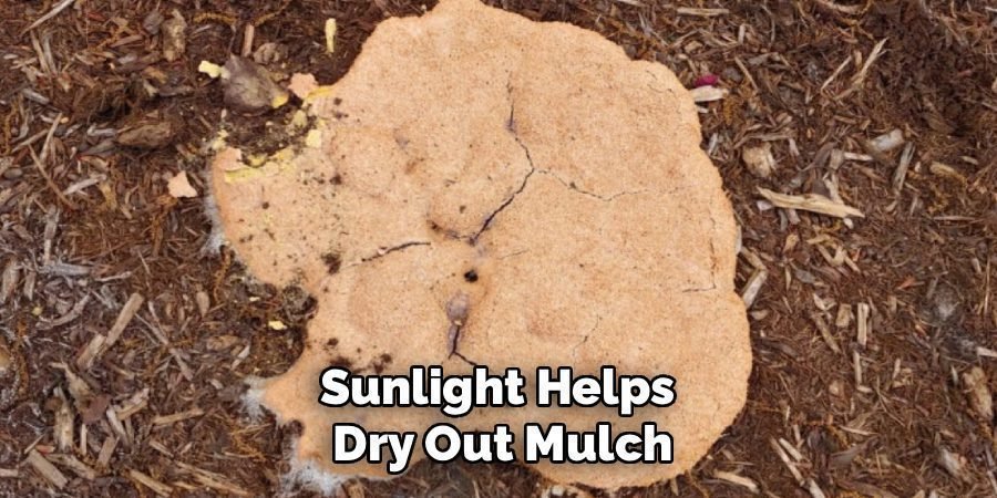 Sunlight Helps 
Dry Out Mulch