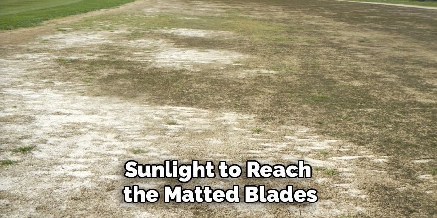 Sunlight to Reach 
the Matted Blades