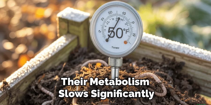 Their Metabolism
Slows Significantly