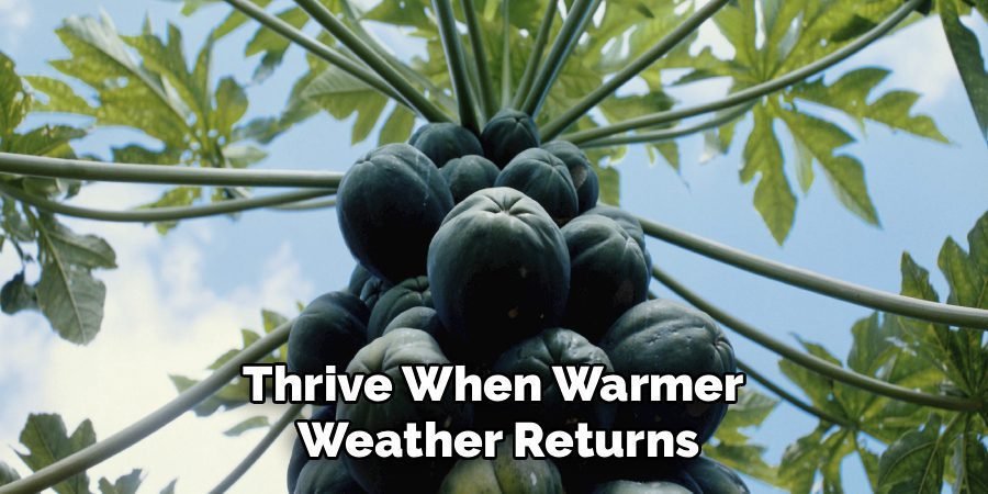 Thrive When Warmer 
Weather Returns