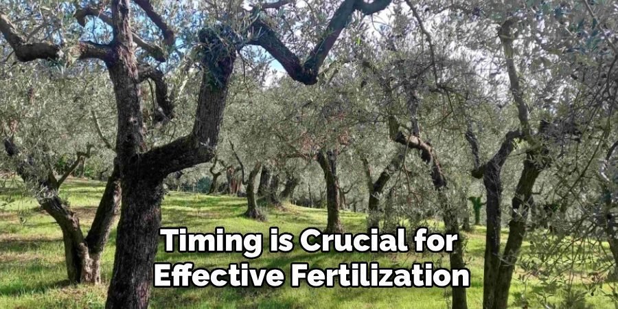 Timing is Crucial for
Effective Fertilization
