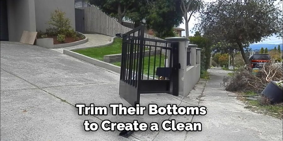 Trim Their Bottoms 
to Create a Clean