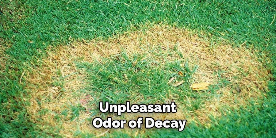 Unpleasant 
Odor of Decay