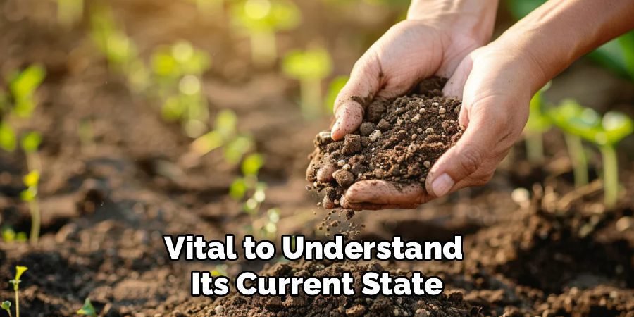 Vital to Understand 
Its Current State