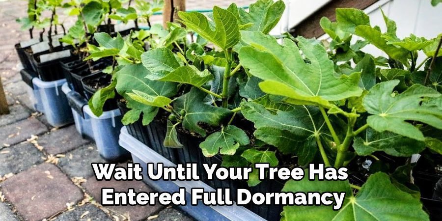 Wait Until Your Tree Has 
Entered Full Dormancy