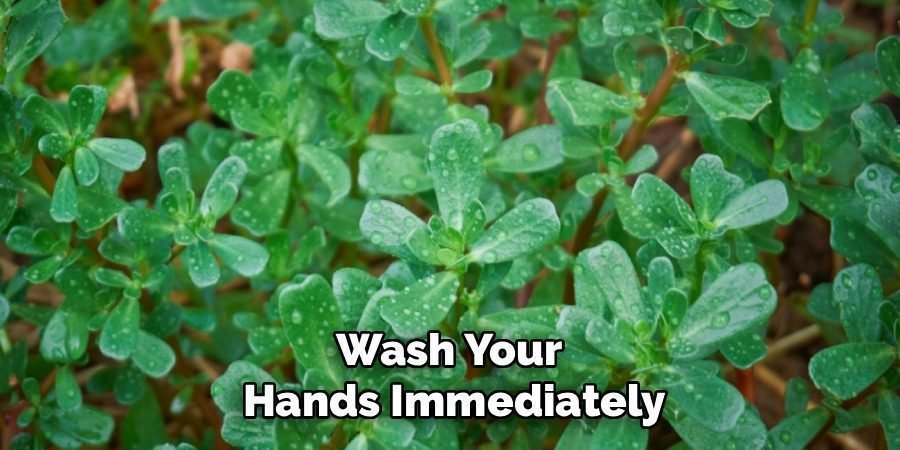 Wash Your 
Hands Immediately