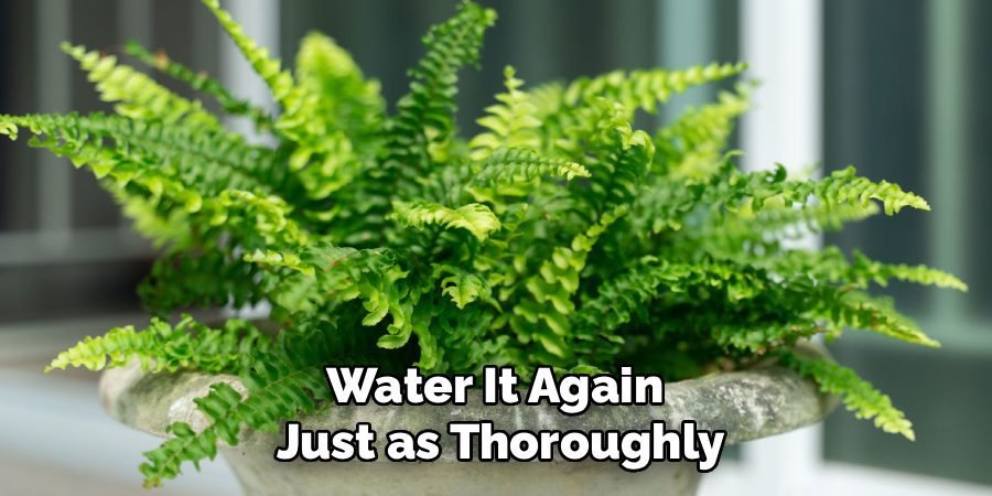 Water It Again 
Just as Thoroughly