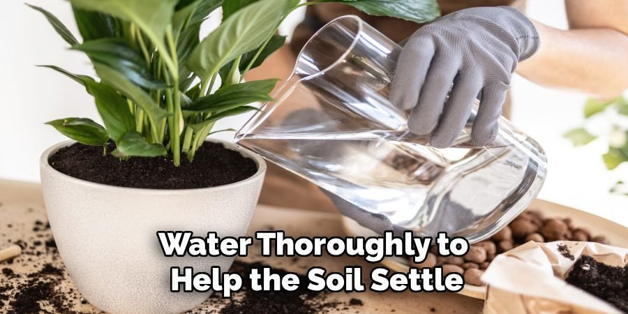 Water Thoroughly to 
Help the Soil Settle
