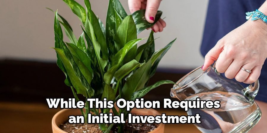 While This Option Requires 
an Initial Investment