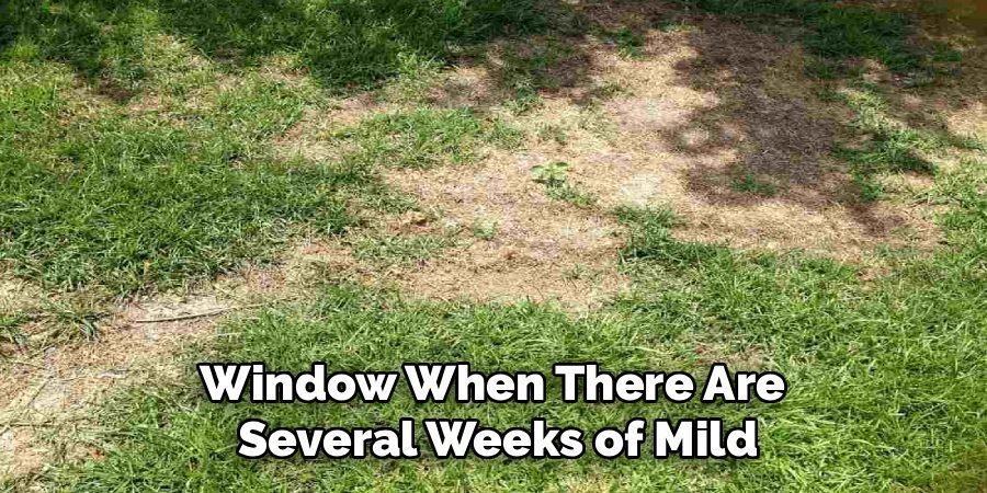 Window When There Are 
Several Weeks of Mild