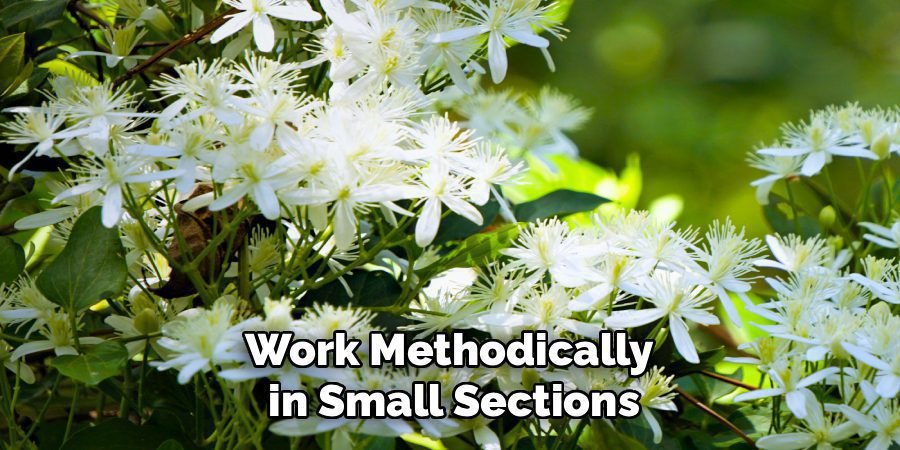 Work Methodically 
in Small Sections