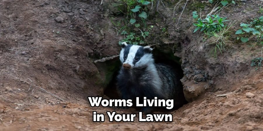 Worms Living
in Your Lawn