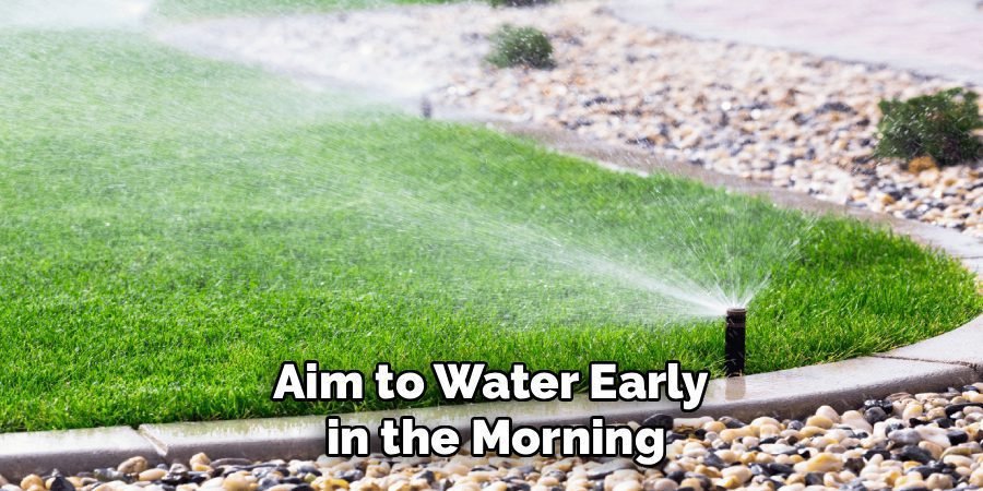 Aim to Water Early 
in the Morning
