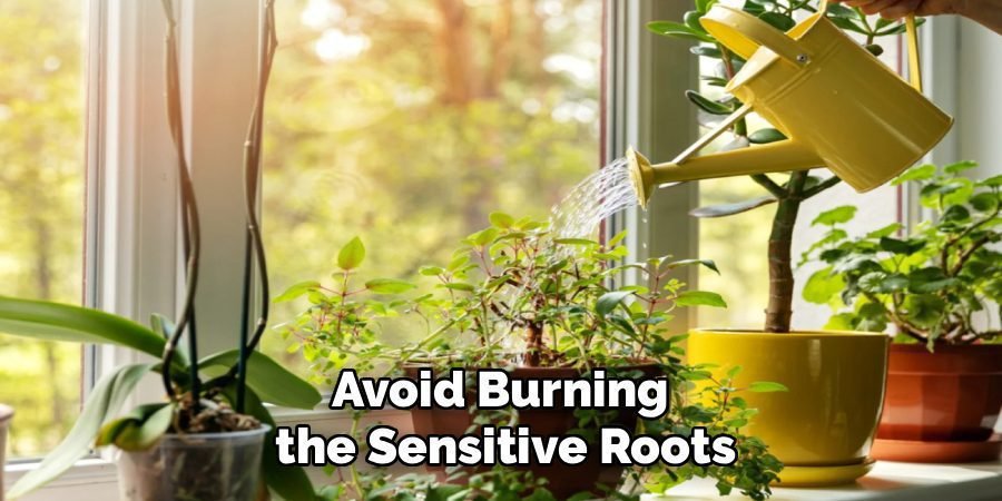 Avoid Burning 
the Sensitive Roots