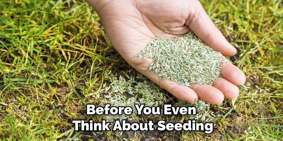 Before You Even 
Think About Seeding