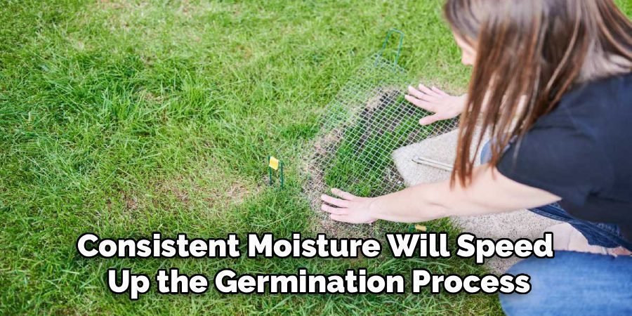 Consistent Moisture Will Speed 
Up the Germination Process