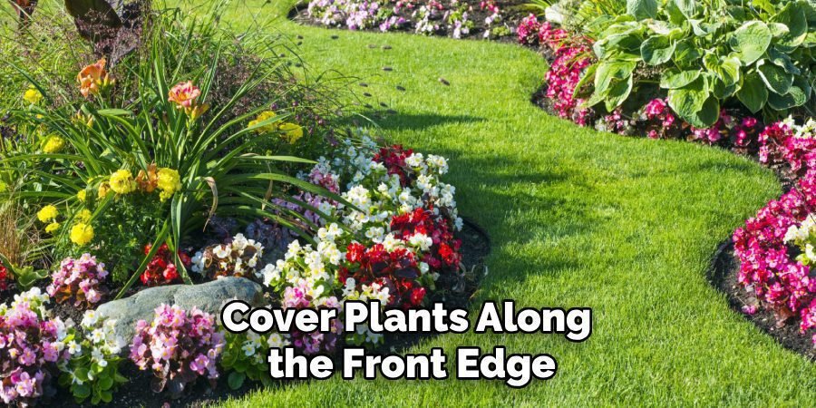 Cover Plants Along
the Front Edge