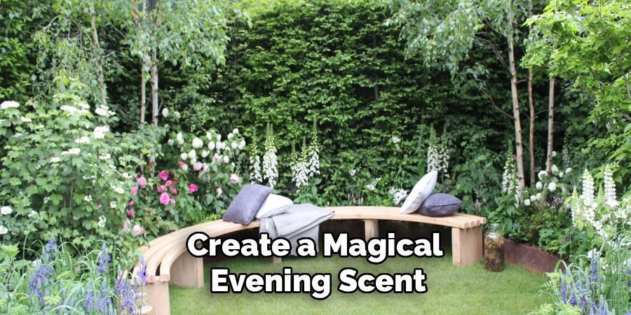 Create a Magical 
Evening Scent