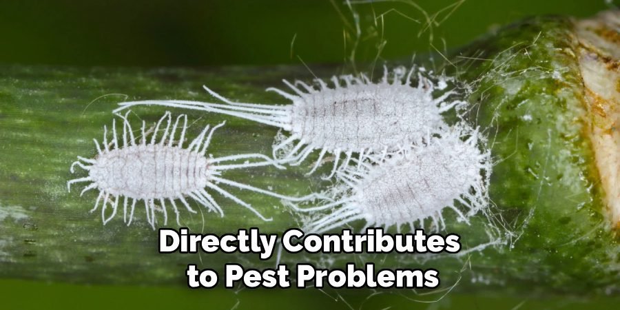 Directly Contributes
to Pest Problems
