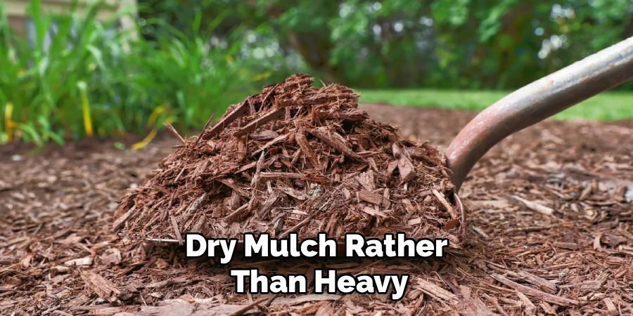 Dry Mulch Rather 
Than Heavy