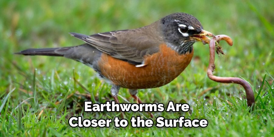 Earthworms Are
Closer to the Surface