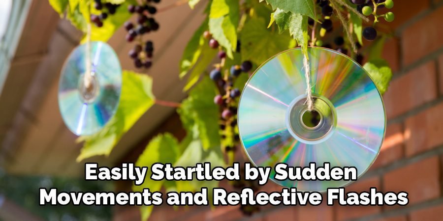 Easily Startled by Sudden 
Movements and Reflective Flashes