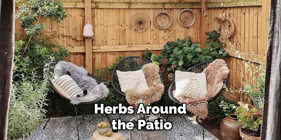 Herbs Around 
the Patio
