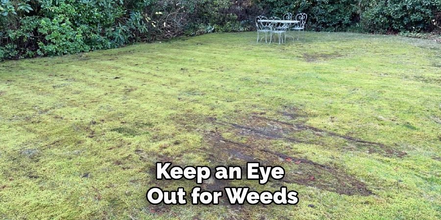Keep an Eye 
Out for Weeds