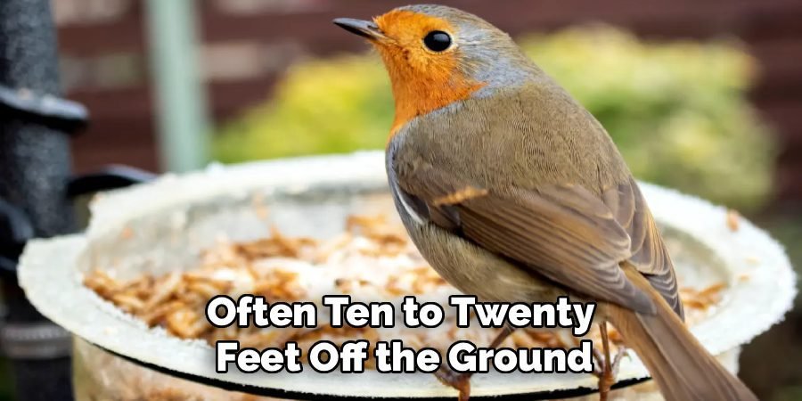 Often Ten to Twenty
Feet Off the Ground