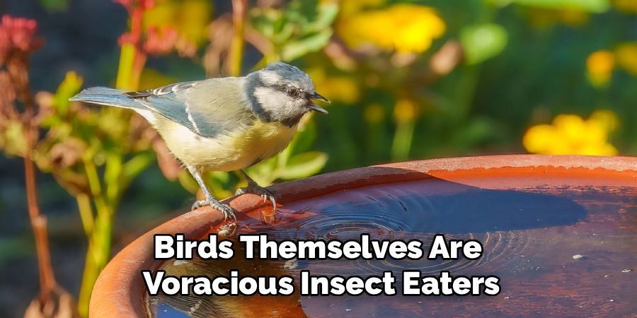 Birds Themselves Are
Voracious Insect Eaters