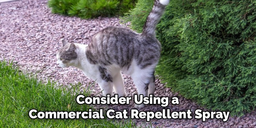Consider Using a
Commercial Cat Repellent Spray