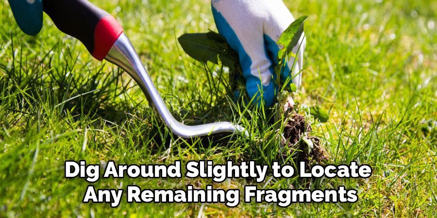 Dig Around Slightly to Locate 
Any Remaining Fragments