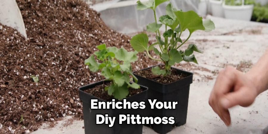 Enriches Your
Diy Pittmoss