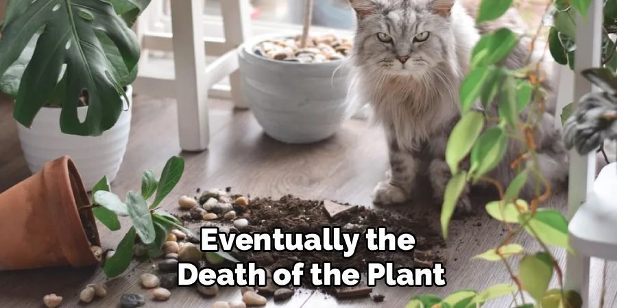 Eventually the
Death of the Plant