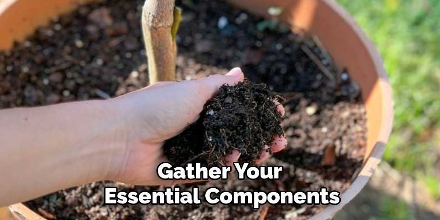 Gather Your
Essential Components