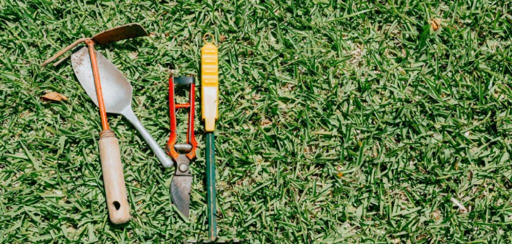 How to Use a Hand Weeder