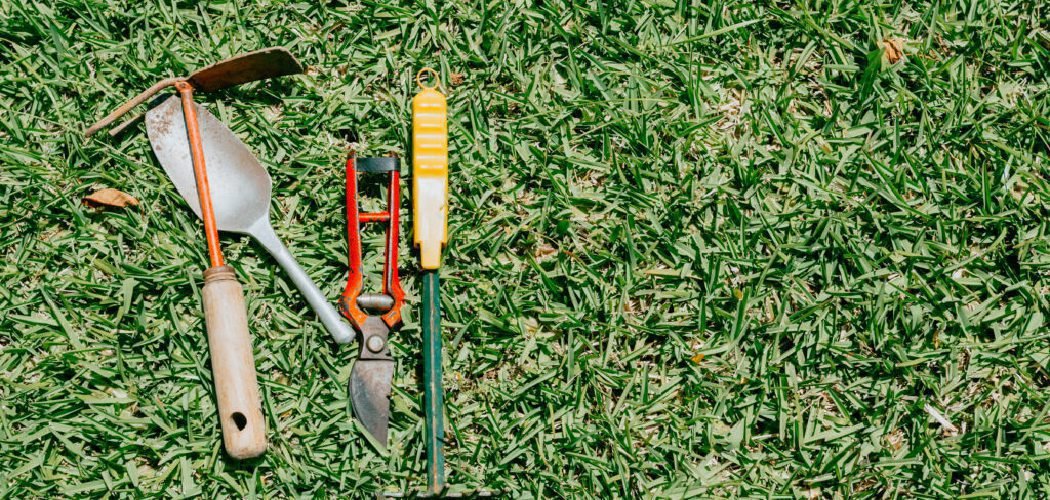 How to Use a Hand Weeder