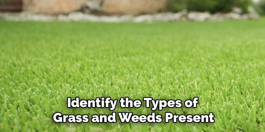 Identify the Types of
Grass and Weeds Present